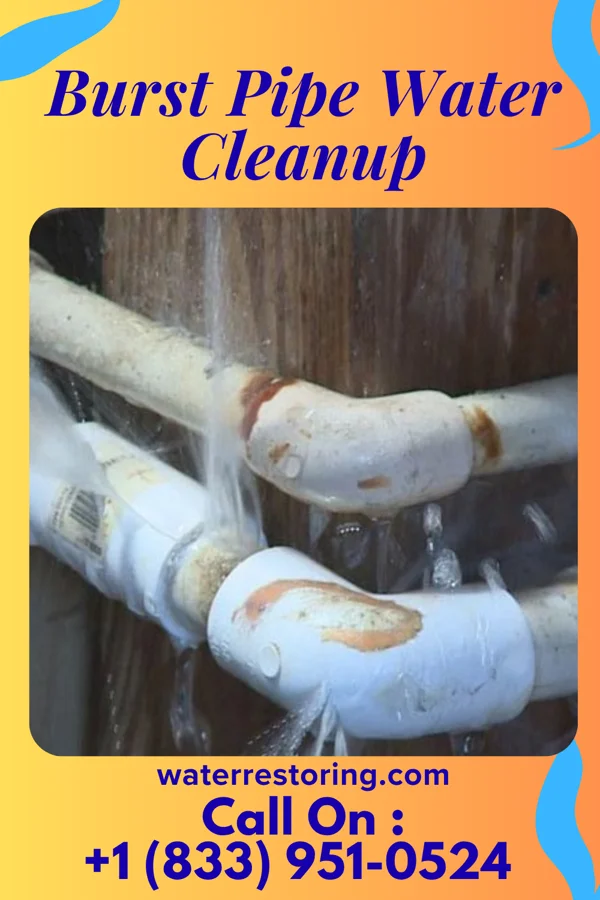 Burst Pipe Water Cleanup in Dilworthtown, PA