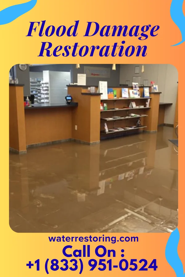 Flood Damage Restoration in Dilworthtown, PA