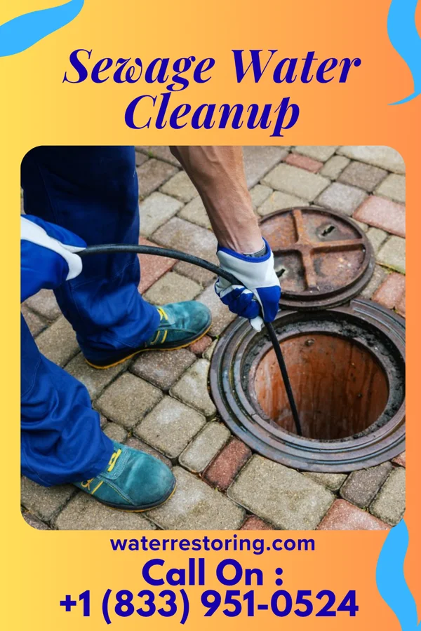 Sewage Water Cleanup in Dilworthtown, PA